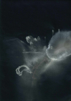 http://www.actionaqua.com/files/gimgs/th-113_bodensee  5invert.jpg